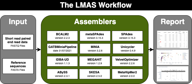 LMAS diagram